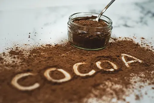 Cocoa Powder Manufacturer