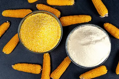 Buy Bulk Corn Flour Powder in Gurugram