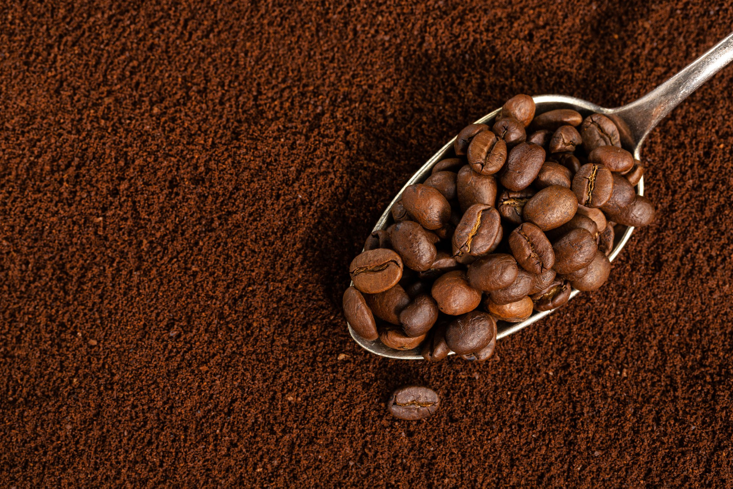 Cocoa Powder Manufacturer in Jammu and kashmir